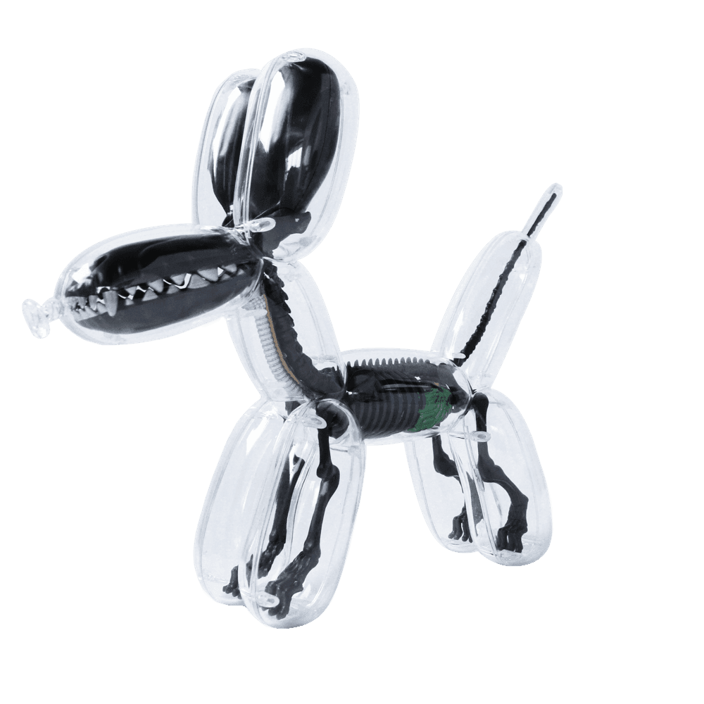 Balloon dog anatomy by jason freeny hotsell